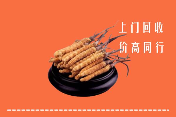 收购行情：西峡县回收散虫草