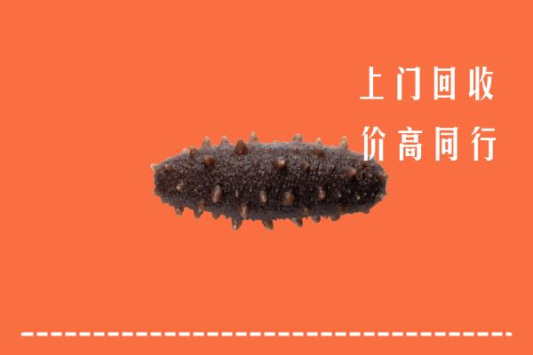 西峡县回收海参