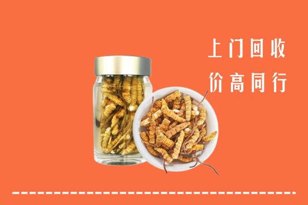 西峡县回收冬虫夏草