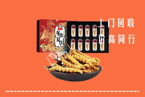 西峡县回收虫草